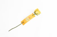 فاصلة اعظم معلمة في العالم