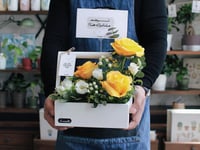 بوكس ورد فاصلة على البال