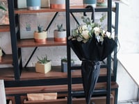 فاصلة مظلة الورد - أبيض