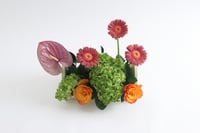 بوكس ورد فاصلة تطمح أكثر