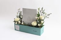 بوكس ورد فاصلة قربك يسعدني