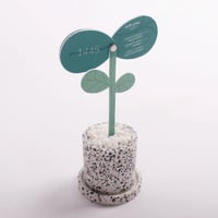 نبتة التقويم المدرسي