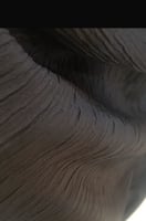 جاكار مكسر ياباني