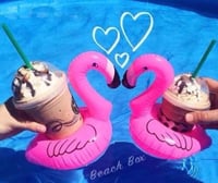 فلامنجو حامل كوب