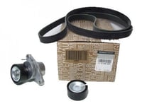 طقم سير رينو لوجان 117206838R1