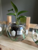 فازة دائرية برسم