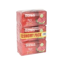 سانيتا | قوالب صابون بيري | 125 جرام