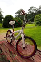 كوبرا مقاس ٢٠