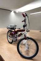 رامبو الإندونيسي