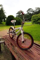 كوبرا مقاس ١٦