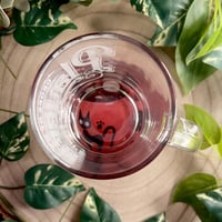 كوسترات القط جيجي