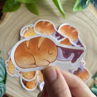 ستكرات bunchita من رجل المنشار