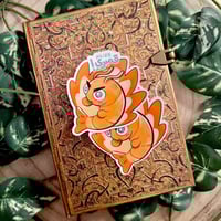 ستكرات قمبري