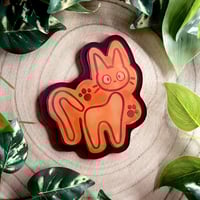 كوسترات القط جيجي