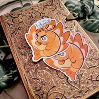 ستكرات قمبري