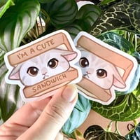 ستكرات ساندويش قط