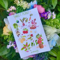 ستكرات خضروات