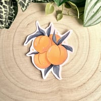 ستكرات فواكه منعشة