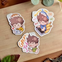 ستكرات حياة البالغين - زين