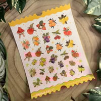 ستكرات ميني فواكه