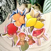 ستكرات فواكه منعشة