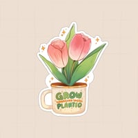 ستكرات أثمر أينما ذهبت