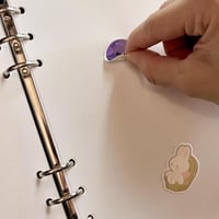 دفتر ستكرات زيلينا