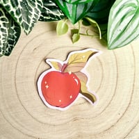 ستكرات فواكه منعشة