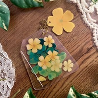 فاصلة شاي ماو ماو