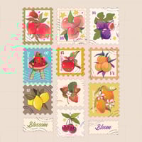 ستكرات أختام أزهر وأثمر