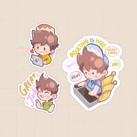 ستكرات حياة البالغين - زين