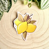 ستكرات فواكه منعشة