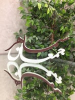 اسماء عرايس