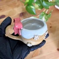 كوب الفيونكه الورديه