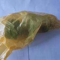 شداد سير دينمو سوناتا ٢٠٠٥-٢٠١٥