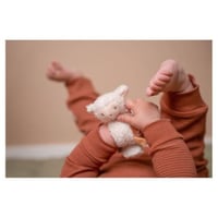 خشخيشة الخروف (اسواره)