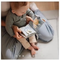 كتاب النشاط مع تعليقة .. الثعلب