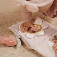 كتاب النشاط .. الغزالة