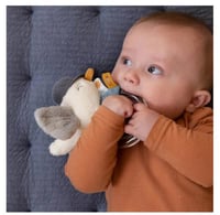 خشخيشة الحلقة مع العصفور البحار