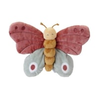 خشخيشة الفراشة