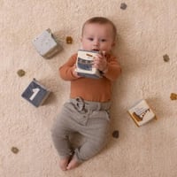 مجموعة مكعبات النشاط الناعمة الهولندية.. عالم البح...