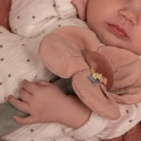 خشخيشة الوردة