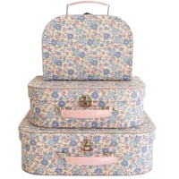 شنط كرتونية متعددة الاستخدام