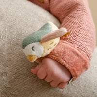 خشخيشة العصفور - اسواره