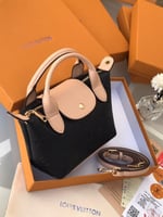 LV MINI BAG