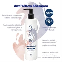 شامبو انتاركتيك سيلفر المضاد للأصفر من اوكينوس - 3...