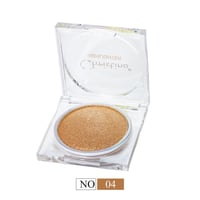 هايلايتر اضاءة بوليشيد من كرستين CH-H2301