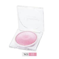 هايلايتر اضاءة بوليشيد من كرستين CH-H2301