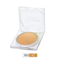 هايلايتر اضاءة بوليشيد من كرستين CH-H2301