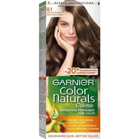 صبغة غارنييه كولور ناتشرلز - 6.1 أشقر غامق رمادي